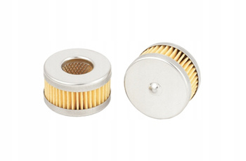 Filtr gazu fazy ciekłej TMS01 TOMASETTO Nordic Alaska